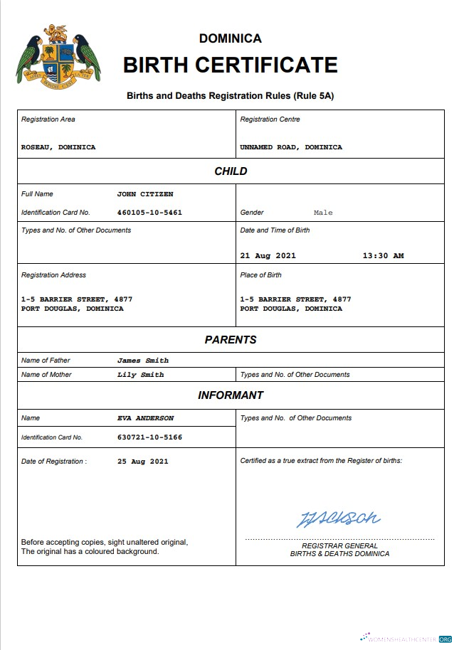 Download Dominica vital record birth certificate Word and PDF template Photoshop template